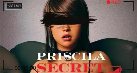 亚洲风SLG【普里西拉的秘密】Ep10 汉化 PC+安卓 4.5G